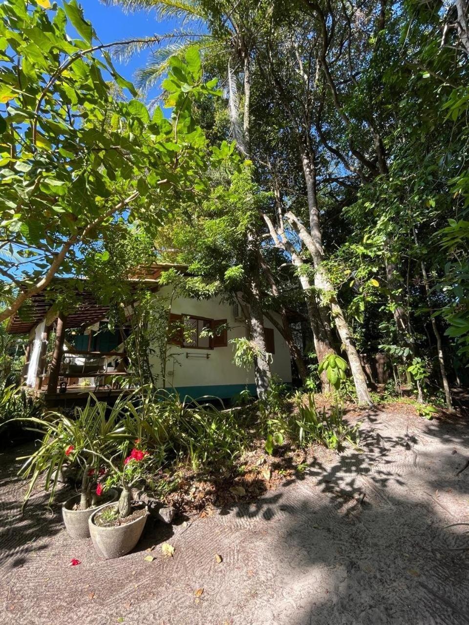 Privacidade, Sossego E Axe Em Taipu De Fora Barra Grande  Bagian luar foto