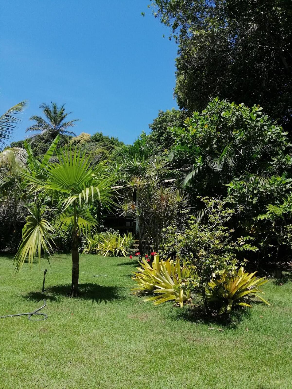 Privacidade, Sossego E Axe Em Taipu De Fora Barra Grande  Bagian luar foto